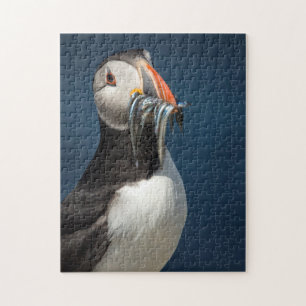 Beautiful wildlife ocean puffin birds portrait jigsaw puzzle