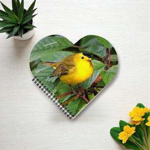 Beautiful Wilson's Warbler in the Cherry Tree Notebook