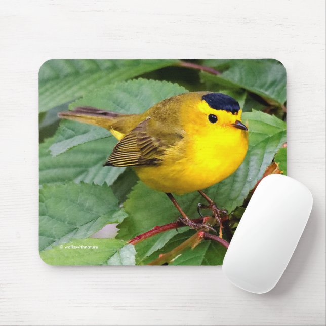 Beautiful Wilson's Warbler Songbird in Cherry Tree Mouse Pad (With Mouse)