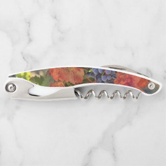 Beautiful Wine Corkscrew with Grapes and Vineyard