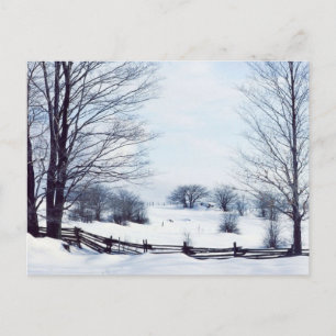 Beautiful Winter Day Postcard