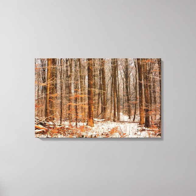Beautiful Winter Forest with Snow Canvas Print (Front)