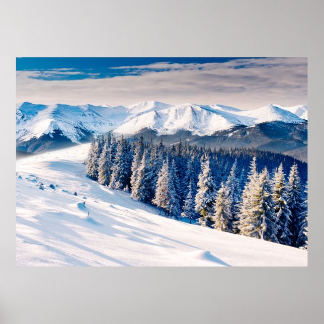 Beautiful winter landscape with snow covered trees poster (Front)