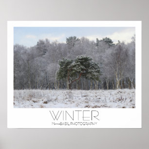 Beautiful Winter Poster! Poster