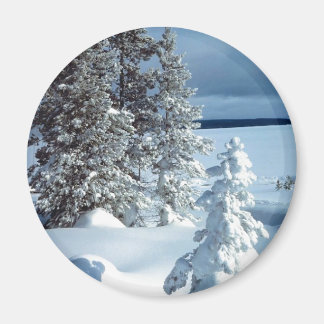 Beautiful Winter Scene Magnet