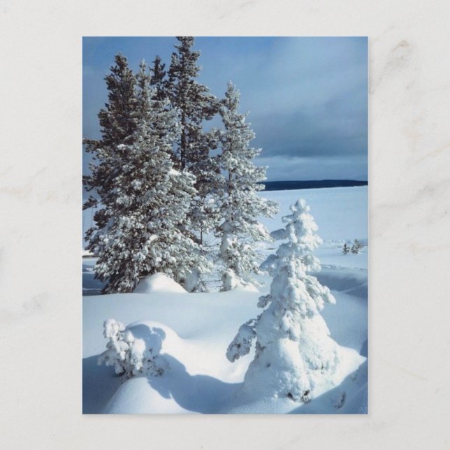 Beautiful Winter Scene Postcard (Front)