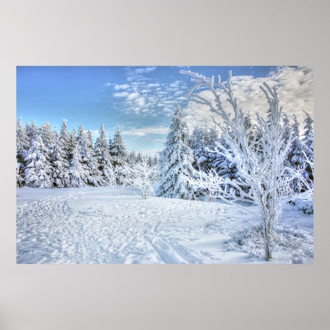 Beautiful Winter Snow Forest Scene   Poster (Front)