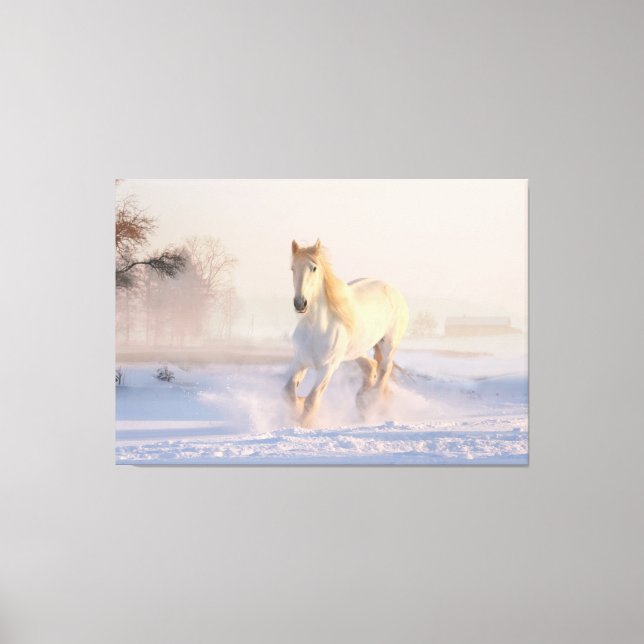 Beautiful Winter White Horse  Canvas Print (Front)