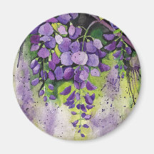 Beautiful Wisteria Flowers In Watercolor  Magnet