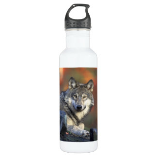 Beautiful Wolf 710 Ml Water Bottle