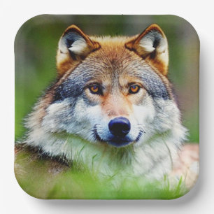 Beautiful Wolf head Painting Paper Plate