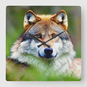 Beautiful Wolf head Painting Square Wall Clock