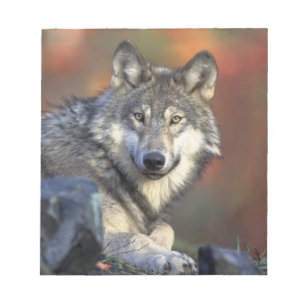 Beautiful Wolf Notepad
