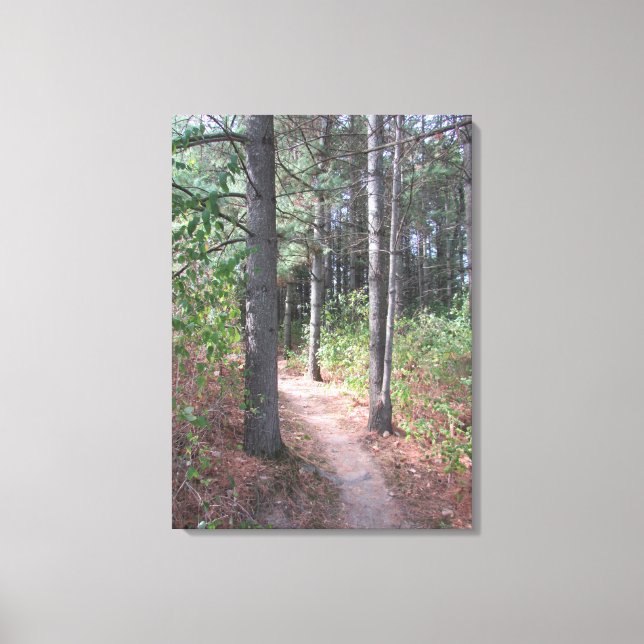 Beautiful Wooded Trail Photograph Wall Art (Front)