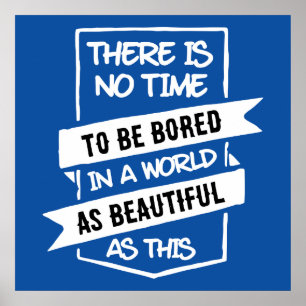 Beautiful world poster