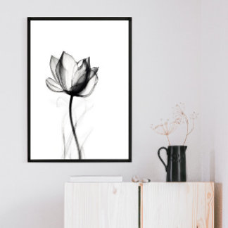 Beautiful Xray Tulip Art Print