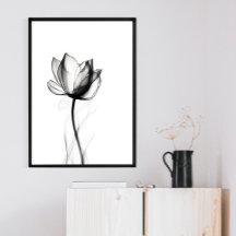 Beautiful Xray Tulip Art Print