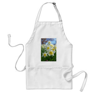Beautiful yellow and white daffodils garden standard apron