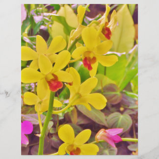 Beautiful Yellow autumn orchids