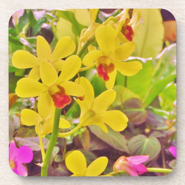 Beautiful Yellow autumn orchids Coaster (Front)