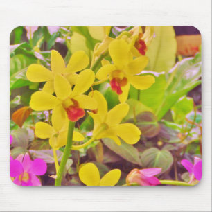 Beautiful Yellow autumn orchids Mouse Pad