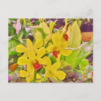 Beautiful Yellow autumn orchids Postcard