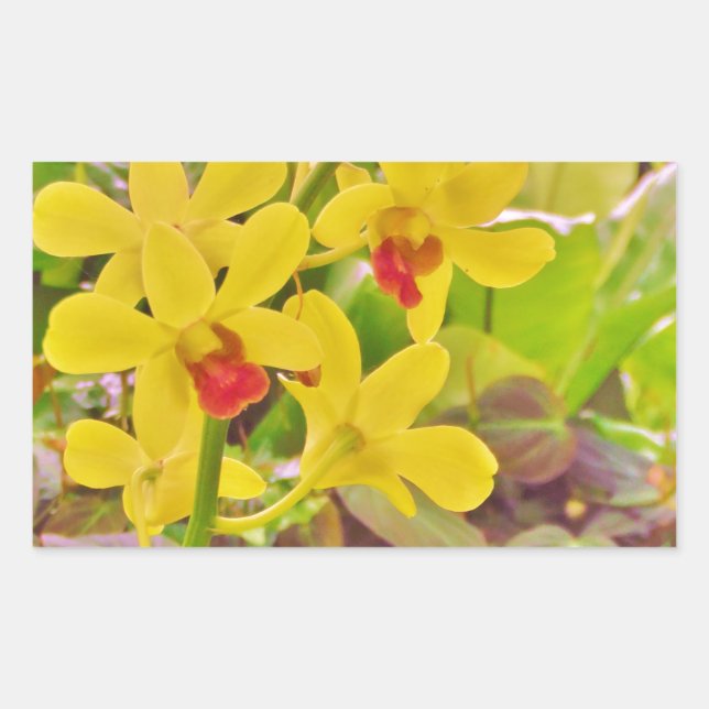 Beautiful Yellow autumn orchids Rectangular Sticker (Front)
