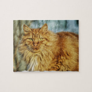 Beautiful Yellow Cat Jigsaw Puzzle