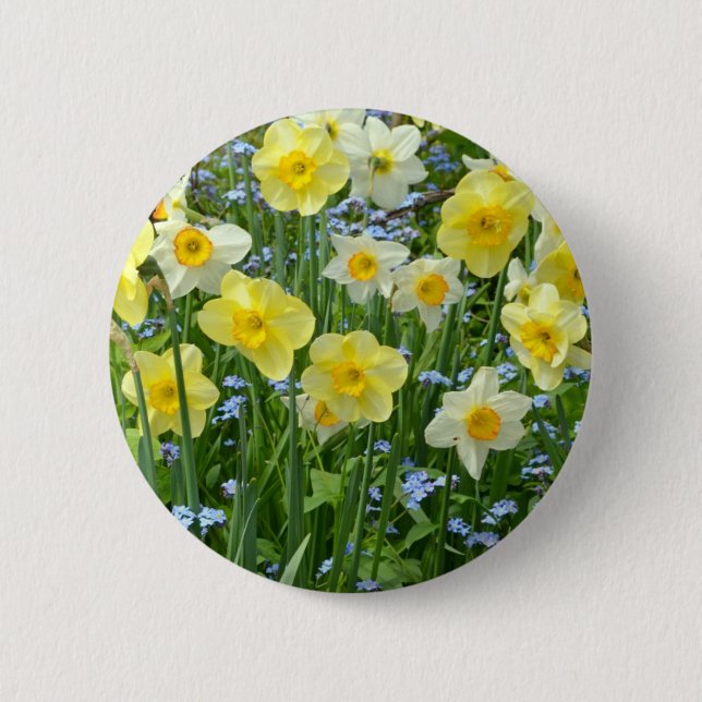Beautiful yellow daffodil garden 6 cm round badge (Front)