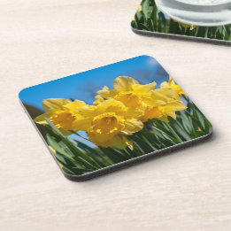 Beautiful Yellow Daffodils Coaster