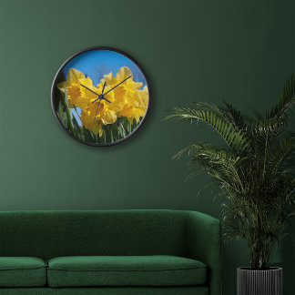 Beautiful Yellow Daffodils in Spring Clock