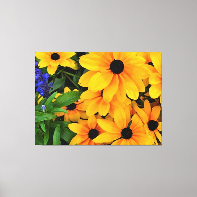Beautiful Yellow Daisy Photo Canvas Print (Front)