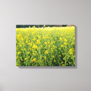 Beautiful Yellow Flower Canvas