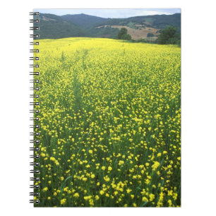 Beautiful yellow flower covered fields of San Spiral Notebook