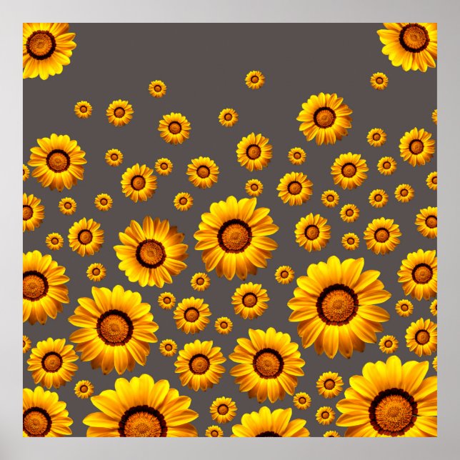 Beautiful yellow flowers on grey background  poster (Front)