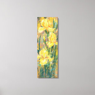 Beautiful Yellow Iris Flowers Canvas Print