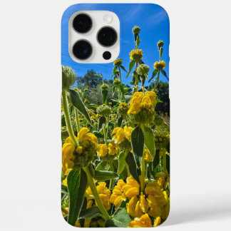 beautiful yellow Jerusalem sage flowers iPhone 16 Pro Max Case