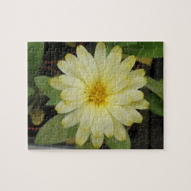 Beautiful Yellow Marigold Puzzle (Horizontal)