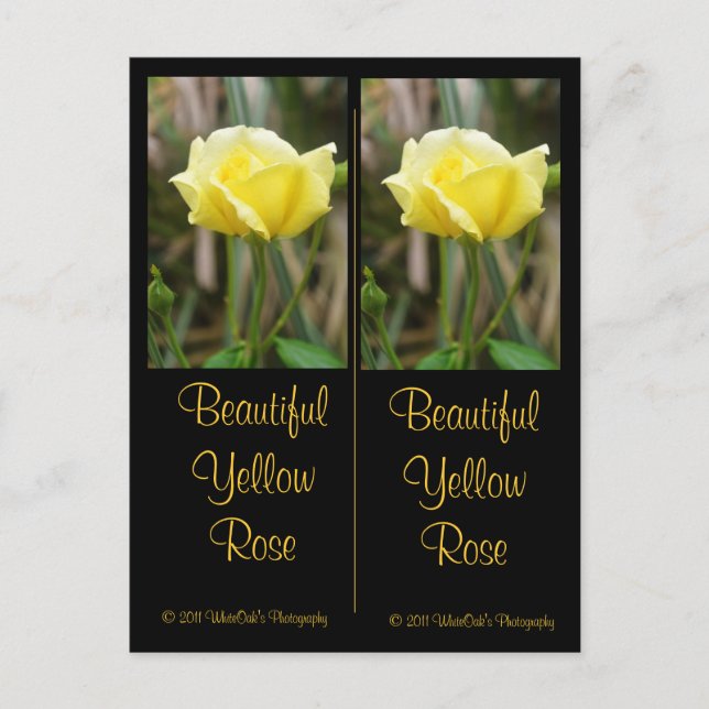 Beautiful Yellow Rose Bookmark Postcard (Front)