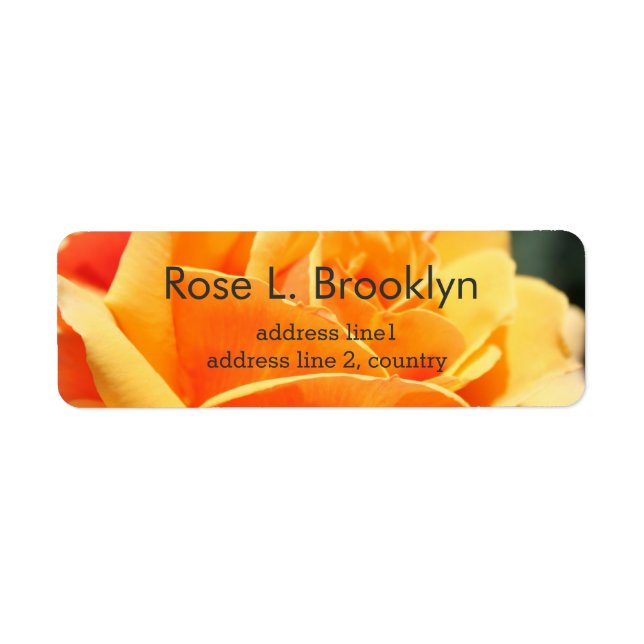 Beautiful yellow rose flower personal (Front)