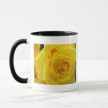 beautiful yellow rose flower photography