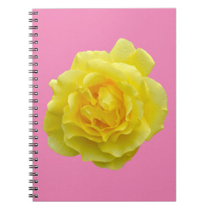 Beautiful yellow rose notebook