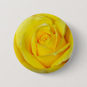Beautiful yellow rose petals 6 cm round badge