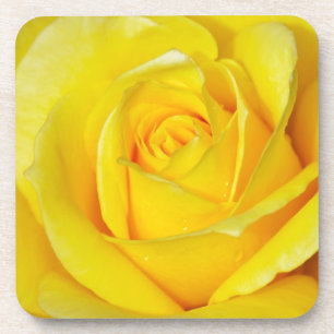 Beautiful yellow rose petals coaster