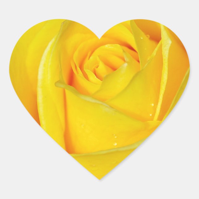 Beautiful yellow rose petals heart sticker (Front)