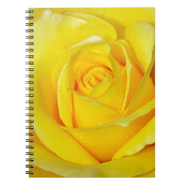 Beautiful yellow rose petals spiral notebook (Front)