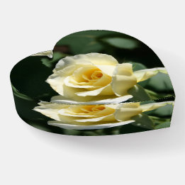 Beautiful Yellow Rose Photography Paperweight