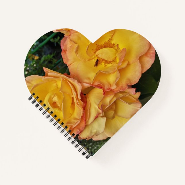 Beautiful Yellow Roses and Insect Notebook (Front)