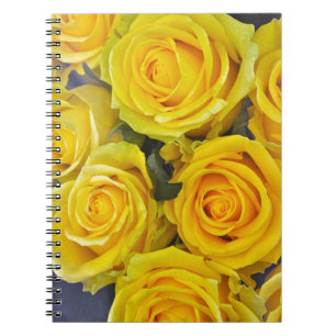 Beautiful yellow roses spiral notebook