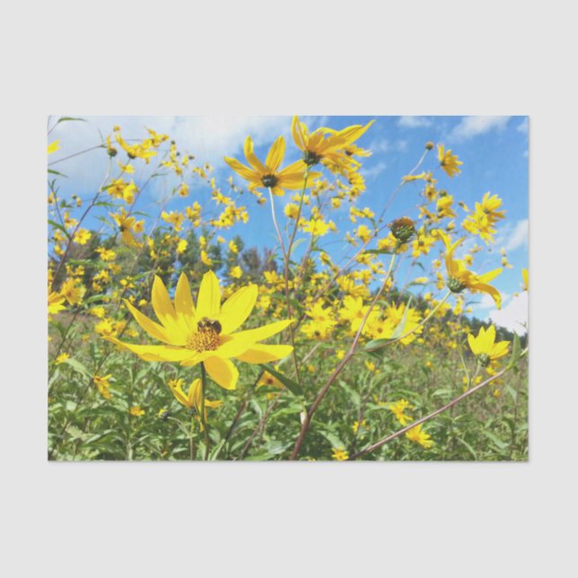 Beautiful Yellow Wildflowers Tissue Paper (Front)